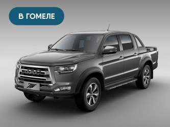 T8_grey_gomel6