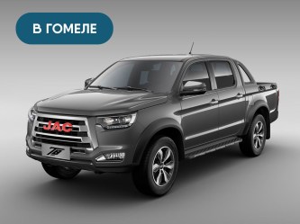 T8_grey_gomel8