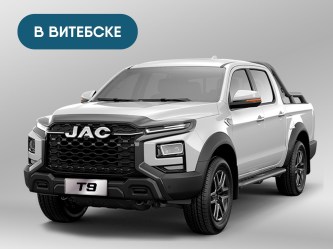 T9_grey_vitebsk